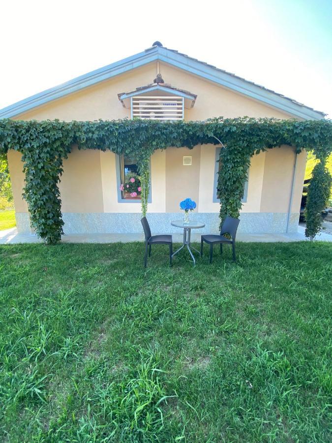 Cascina Serra Eco-House Beb Muzzano Εξωτερικό φωτογραφία